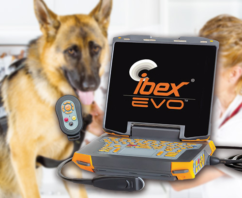 Portable ultrasonic device for veterinary medicine