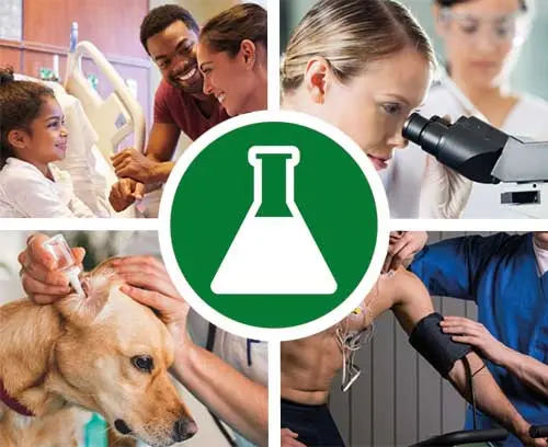 Medizin / Labor / Wellness