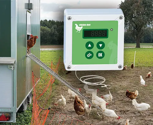 Contrôle des volets de poulet