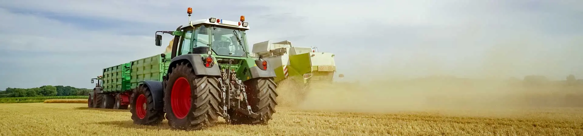 Agricolo