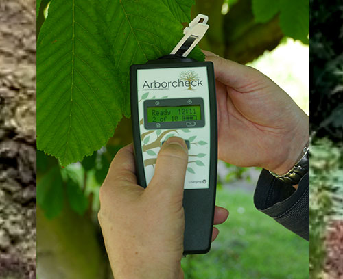 Chlorophyll fluorimeter for plant screening